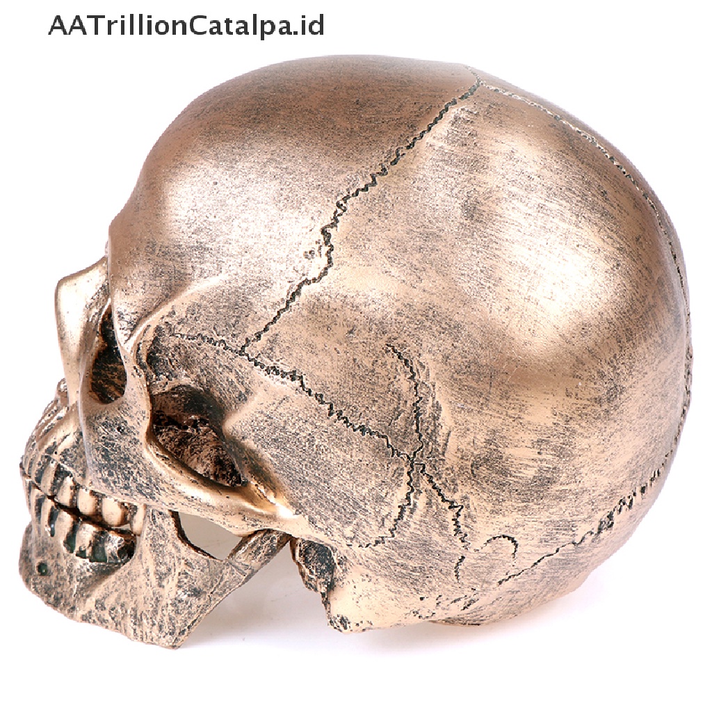 Aatrillioncatalpa Model Tengkorak Manusia Bahan Resin Warna Perunggu Skala 1: 1 Untuk Dekorasi Halloween