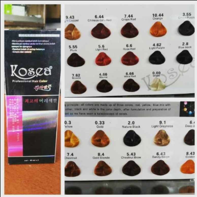 KOSEA PROFESSIONAL HAIR COLOR 60 ML X 2