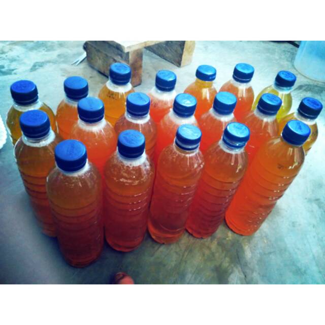 

Madu Hutan Asli