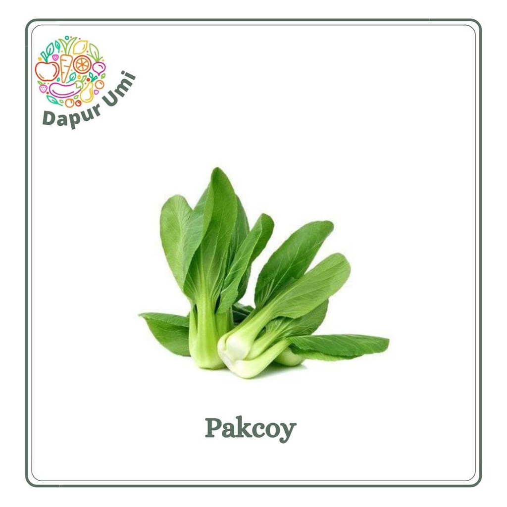 

PAKCOY - SAYUR SAYURAN SEGAR PURWKARTA