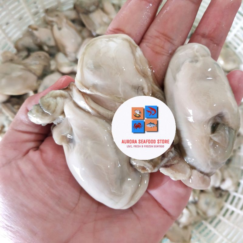 

Daging tiram / daging oyster