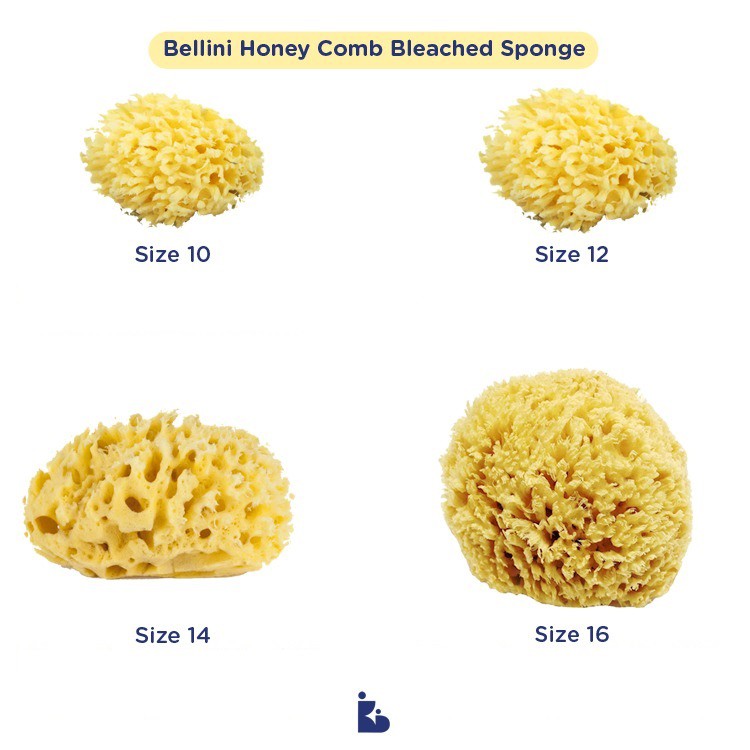 Bellini Honey Comb Bleached Sponge