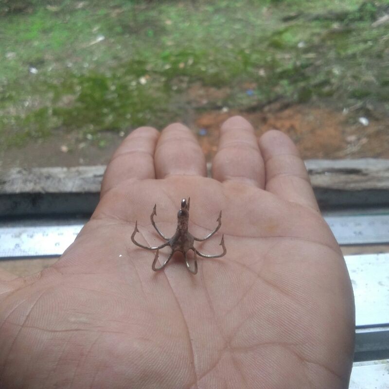 Kail Garong Baronang tekuk mata 7