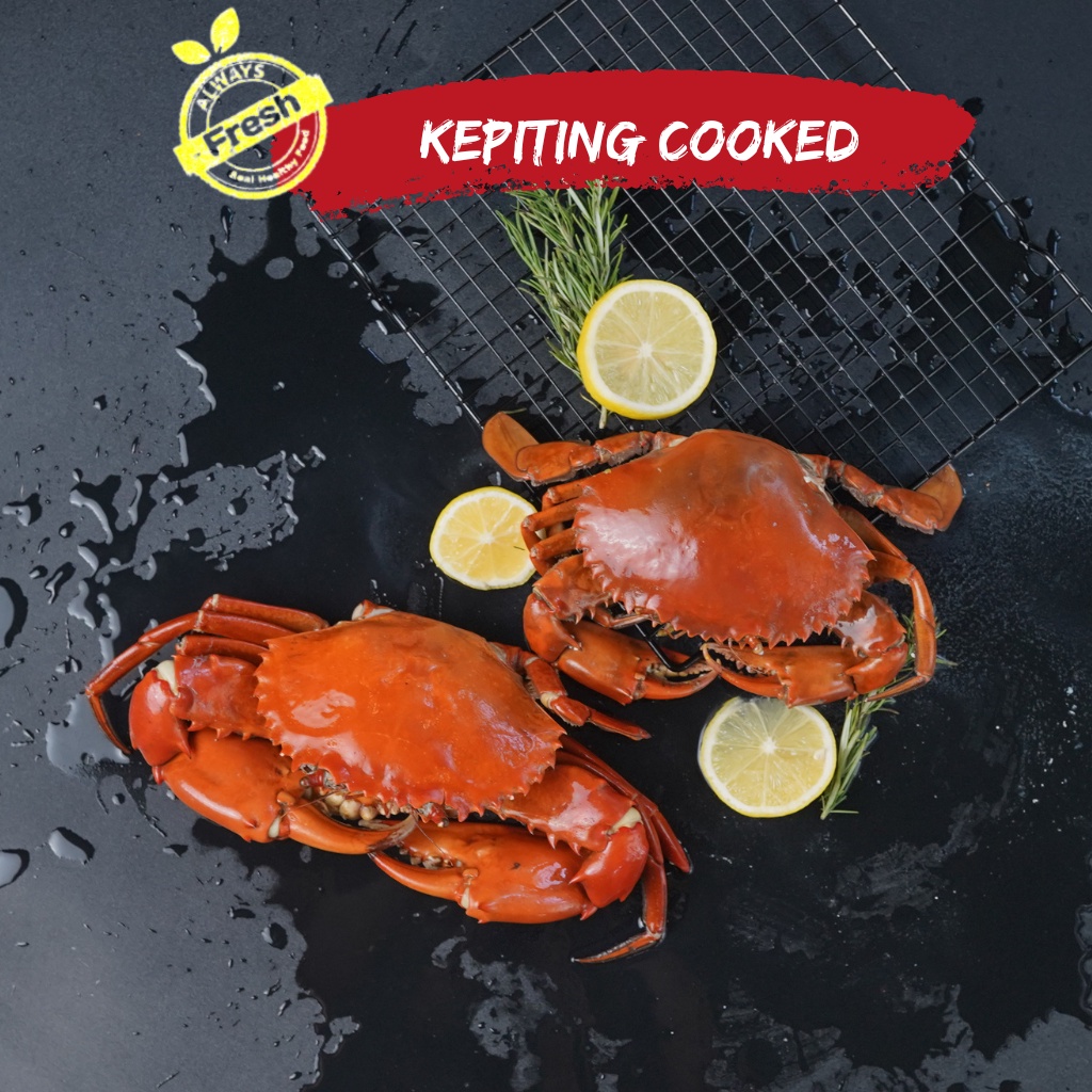

Kepiting Bakau Bersih Premium Siap Masak 1Kg (3-4 Ekor)