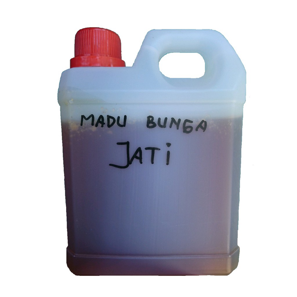 

Madu bunga jati asli murni