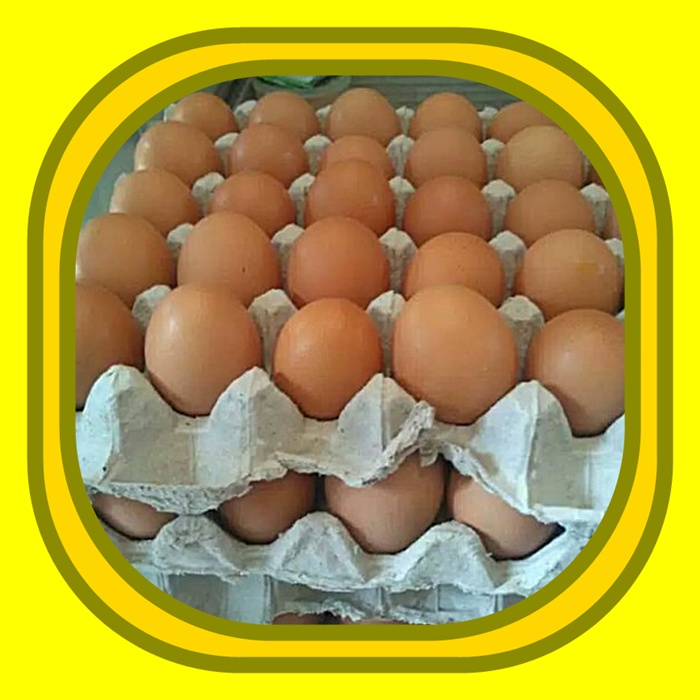 

telur ayam 1 kg