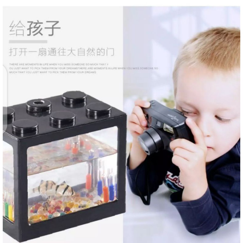 AQUARIUM MINI CUPANG / TANK CUPANG MIKA / AQUARIUM GUPPY / AQUASCAPE UNIK