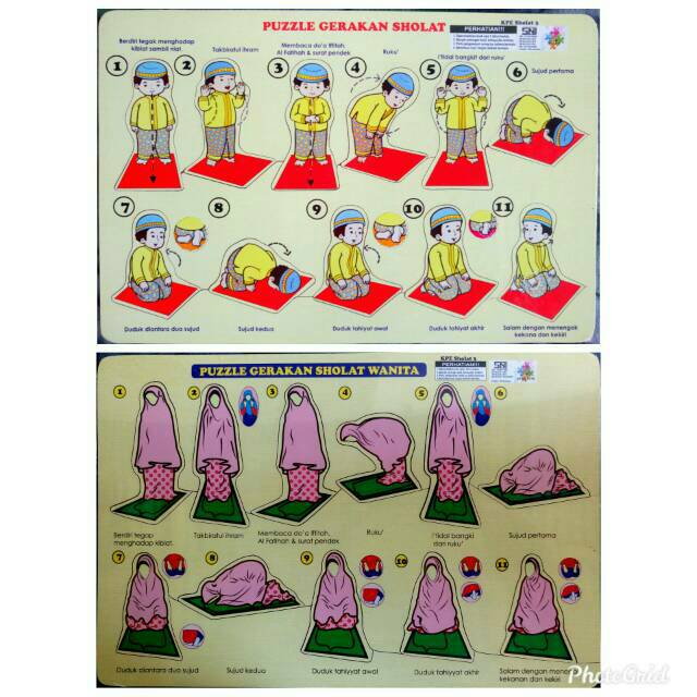 Gambar Gerakan Sholat Kartun – Pulp