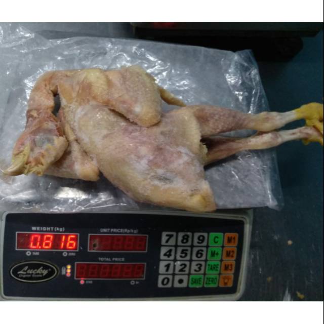 

Ayam Kalasan Utuh