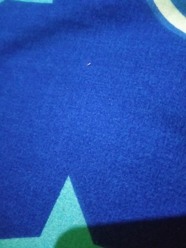 Seragam Batik Korpri Pgri S-5l