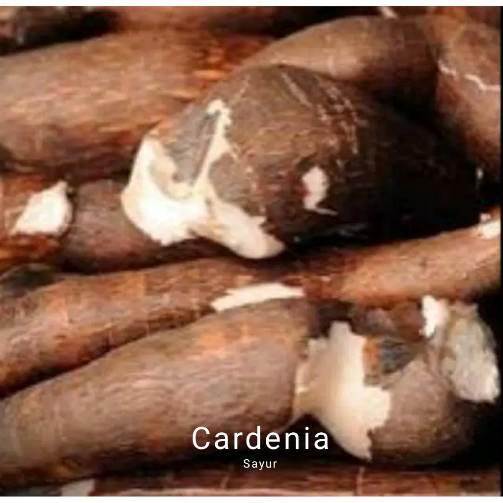 

singkong, bumbu masak , peralatan masak, bahan masakan, sayur segar