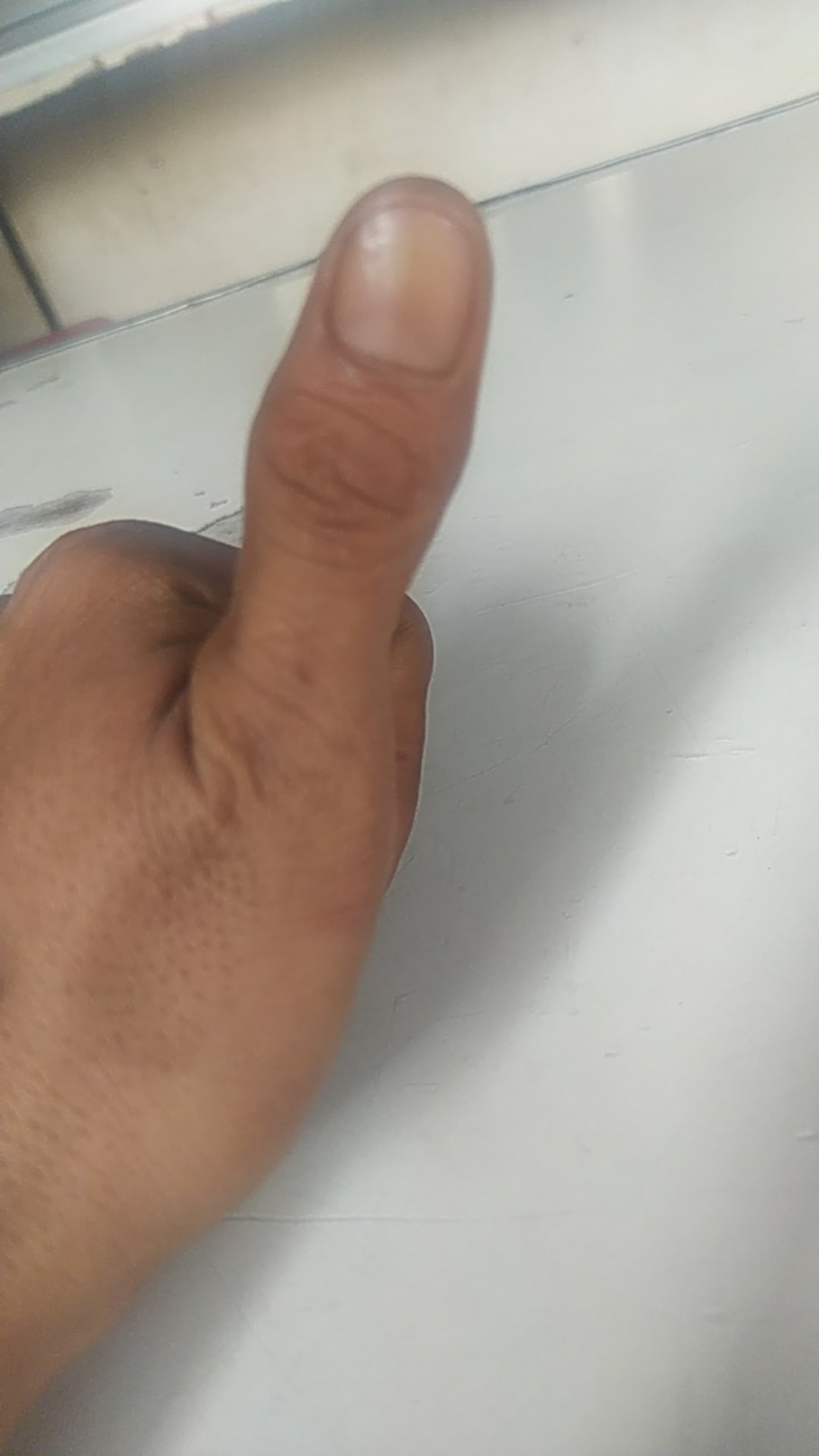 Golsem Jagal Sembeleh Kayu Sonokeling