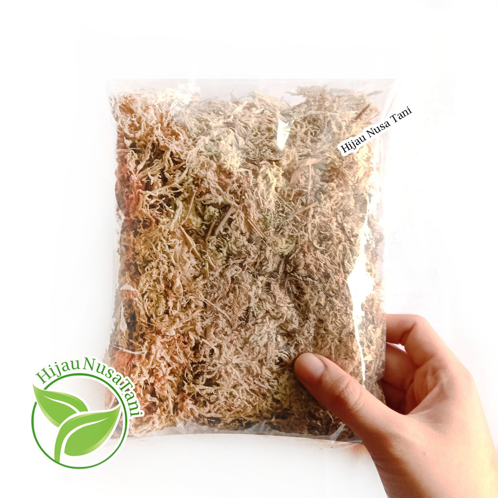 MOSS SPHAGNUM IMPORT CHILE / CHILI ASLI 1 liter - Media mos spagnum kering putih untuk media semai a