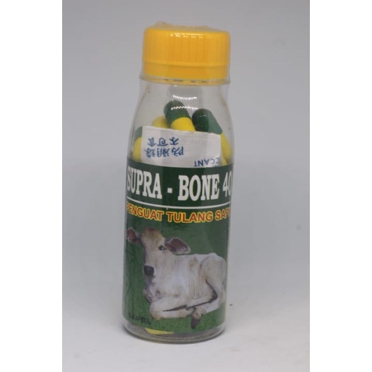 supra bone obat penguat tulang obat lumpuh sapi
