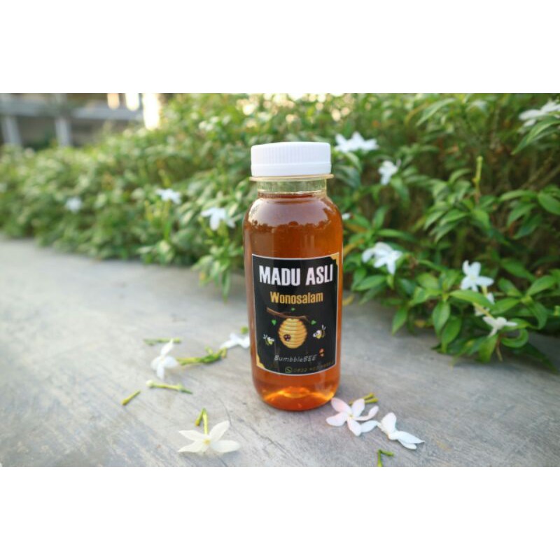 

Madu Melifera Randu