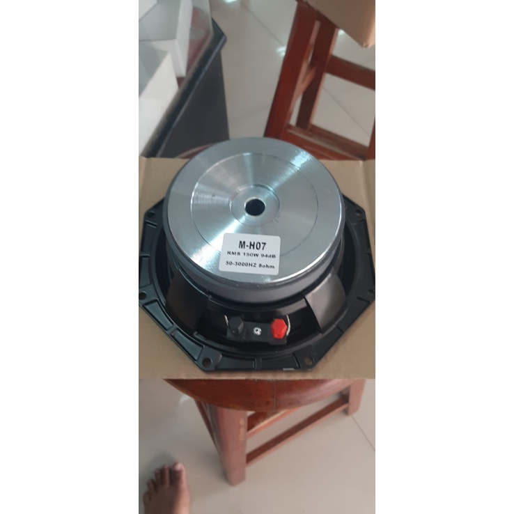 speaker 8&quot; model BnC segi 8