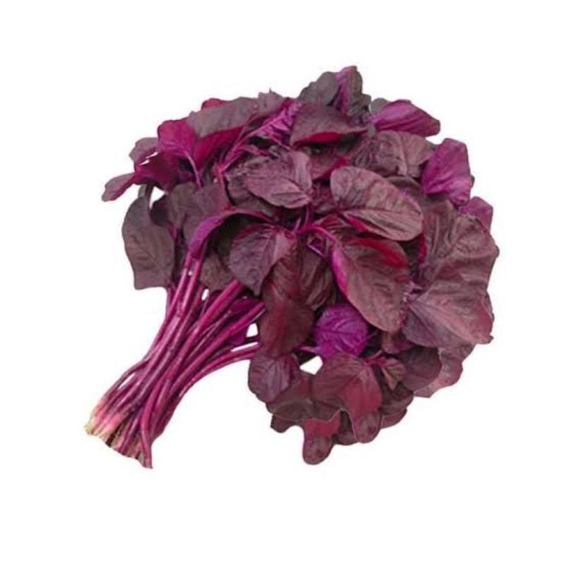 

Sayur bayam merah segar surga kebutuhan ku red spinach fresh