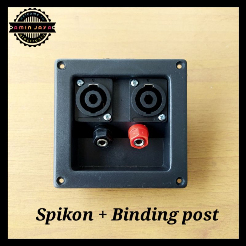 Terminal speaker segi binding post