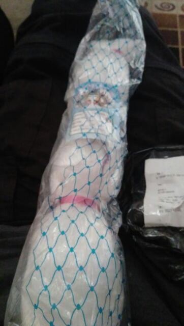 Jaring Burung Pelindung Padi Di Sawah Warna Putih Bening