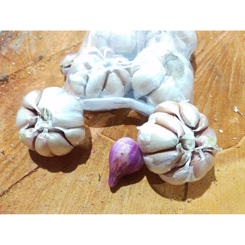 

Bawang Putih 250 gram Fresh Setiap Hari