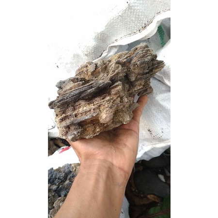 sand Stone batu pasir aquascape