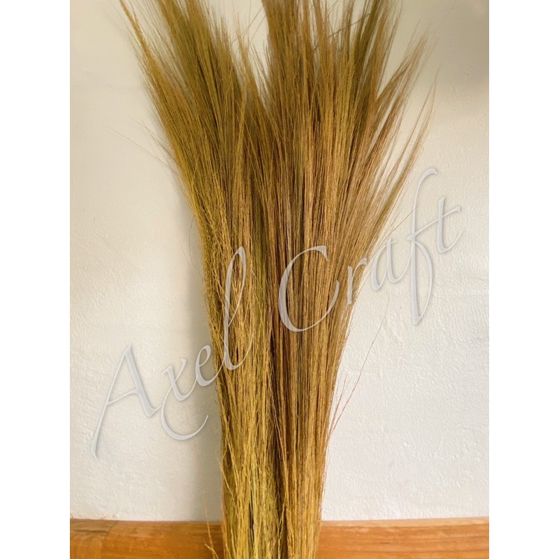 Bunga Pampas Lokal / Bunga Kering rayung / Bunga Kipas