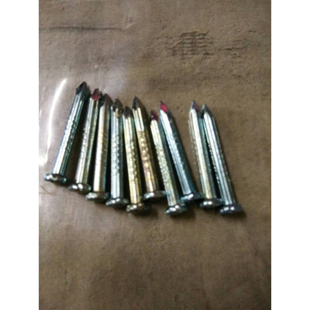 PAKU BETON 3 cm / PAKU TEMBOK Eden