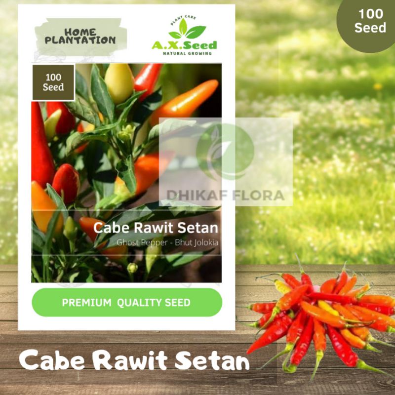 Benih Bibit Cabe Rawit Setan (AX Seed)