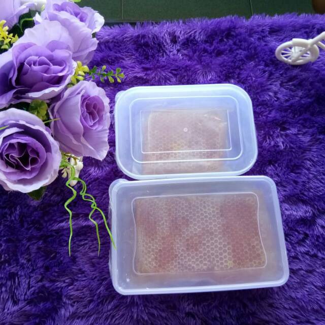 

Sarang Madu Honeycomb Bangka Lebah Apis Melifera