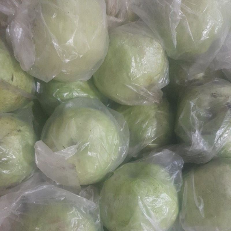 

jambu kristal glowing and gemoy