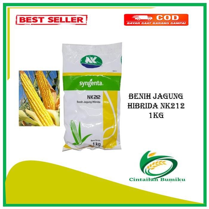 SYGENTA Bibit Jagung Hibrida NK 212 1 kg Benih Jagung Hibrida NK 212 1 Kg