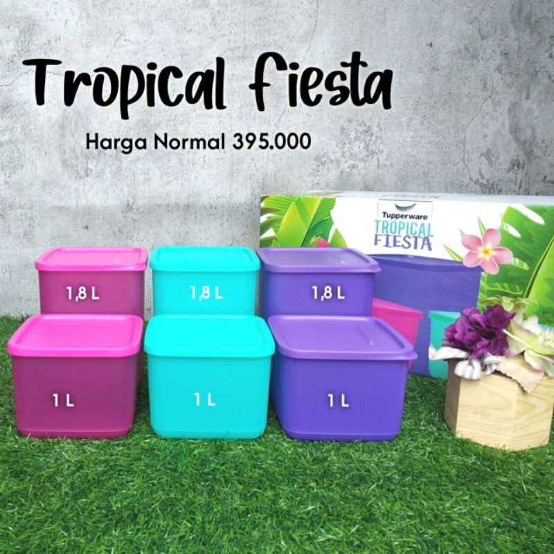 Tropical Fiesta Set (6) Harga Promo 249K/set dengan Box Tupperware