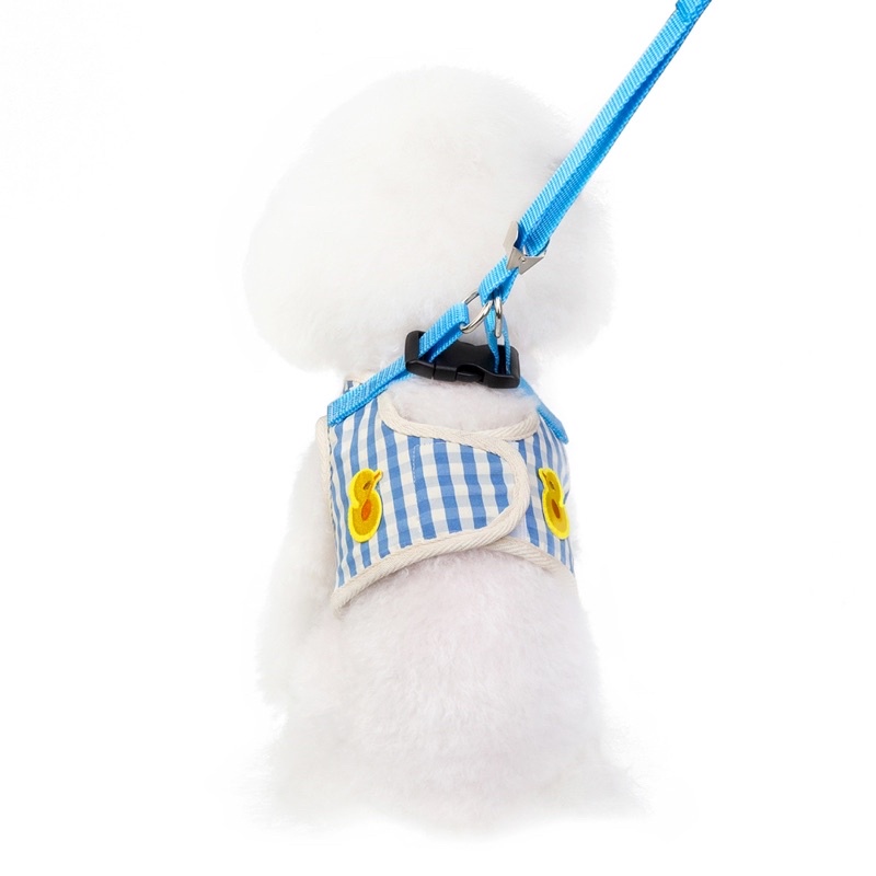 Ducky dodo harness leash set