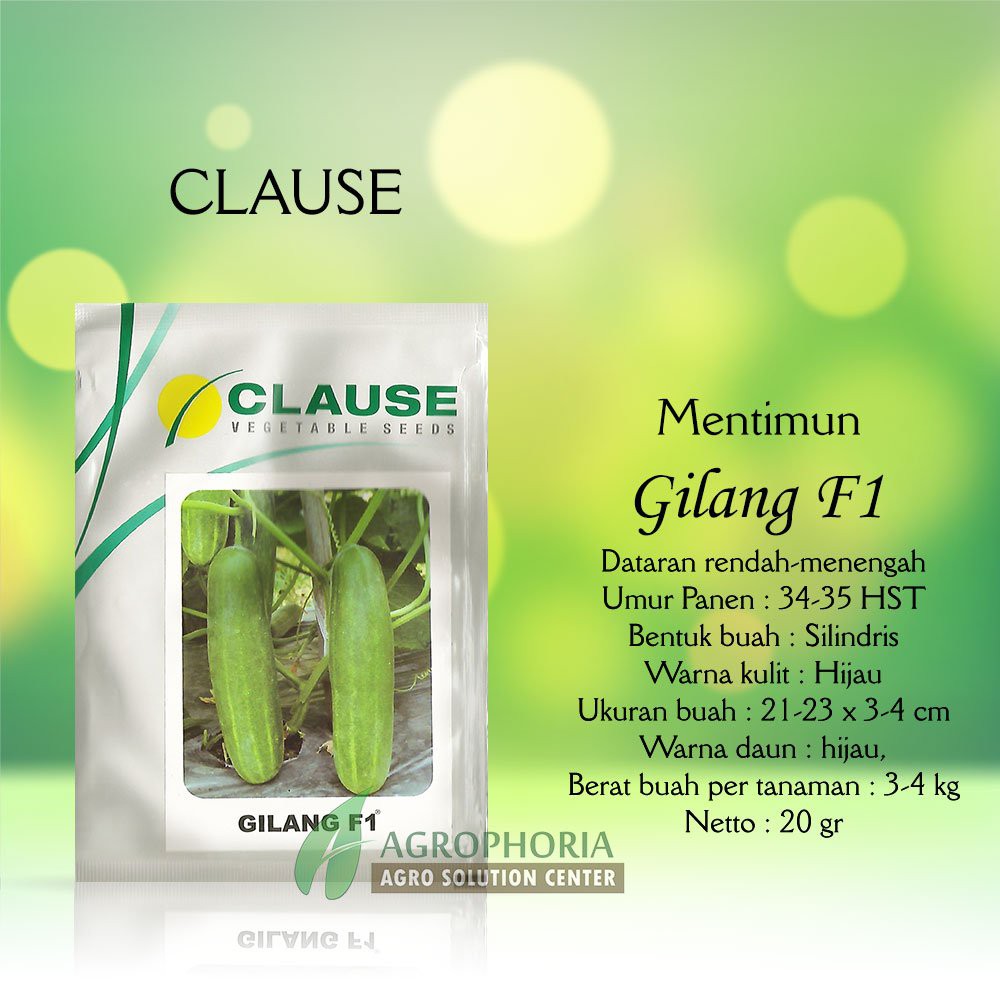 Benih Timun Gilang 20 Gram - Clause Berkualitas