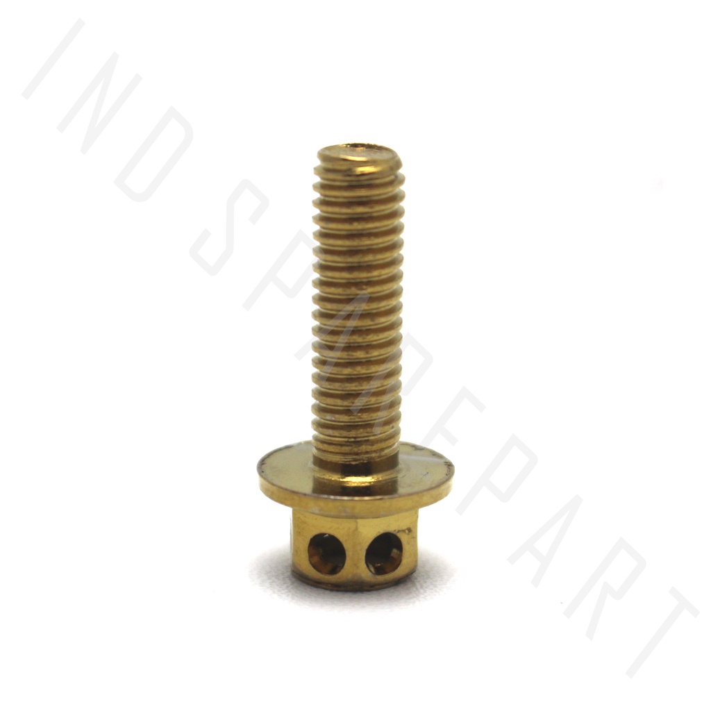 Baut-Baud Probolt-Pro Bolt Emas-Gold M6x20-6x20-M 6 x 20-M6 Kunci 8-K8