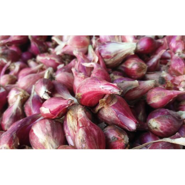 

Bawang merah
