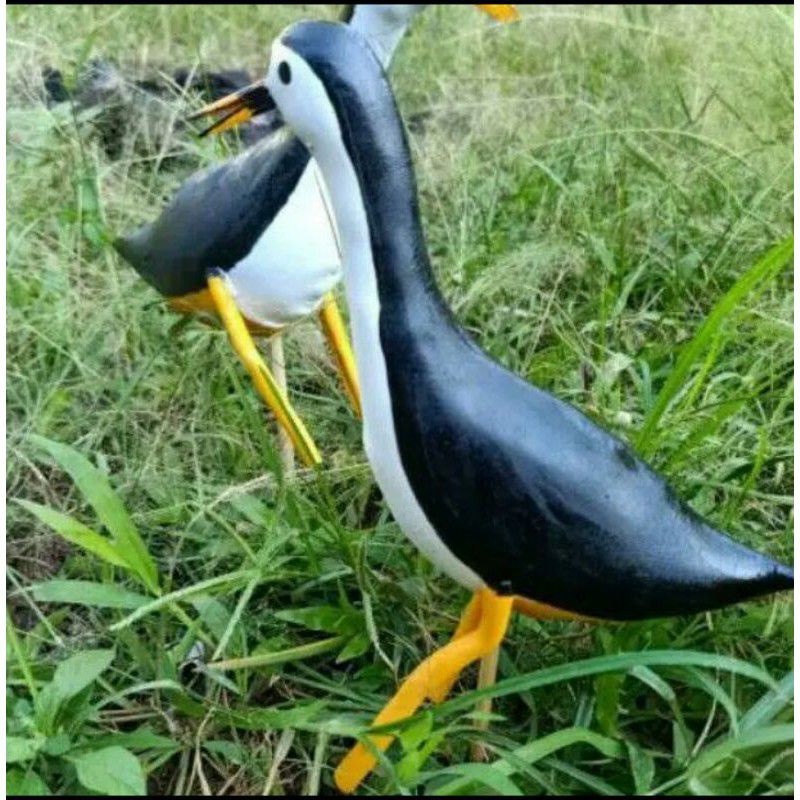 Patung Ruak ruak /pikat ruak ruak