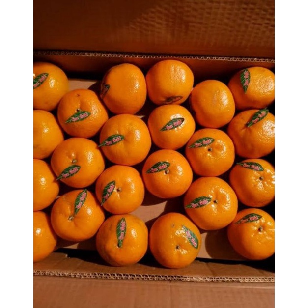 

JERUK KINO per ½ kg 45.000