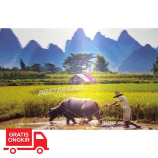 Poster Dinding Wallpaper 3d Pemandangan Sawah 3d29 Size 38 X 58 Cm Shopee Indonesia