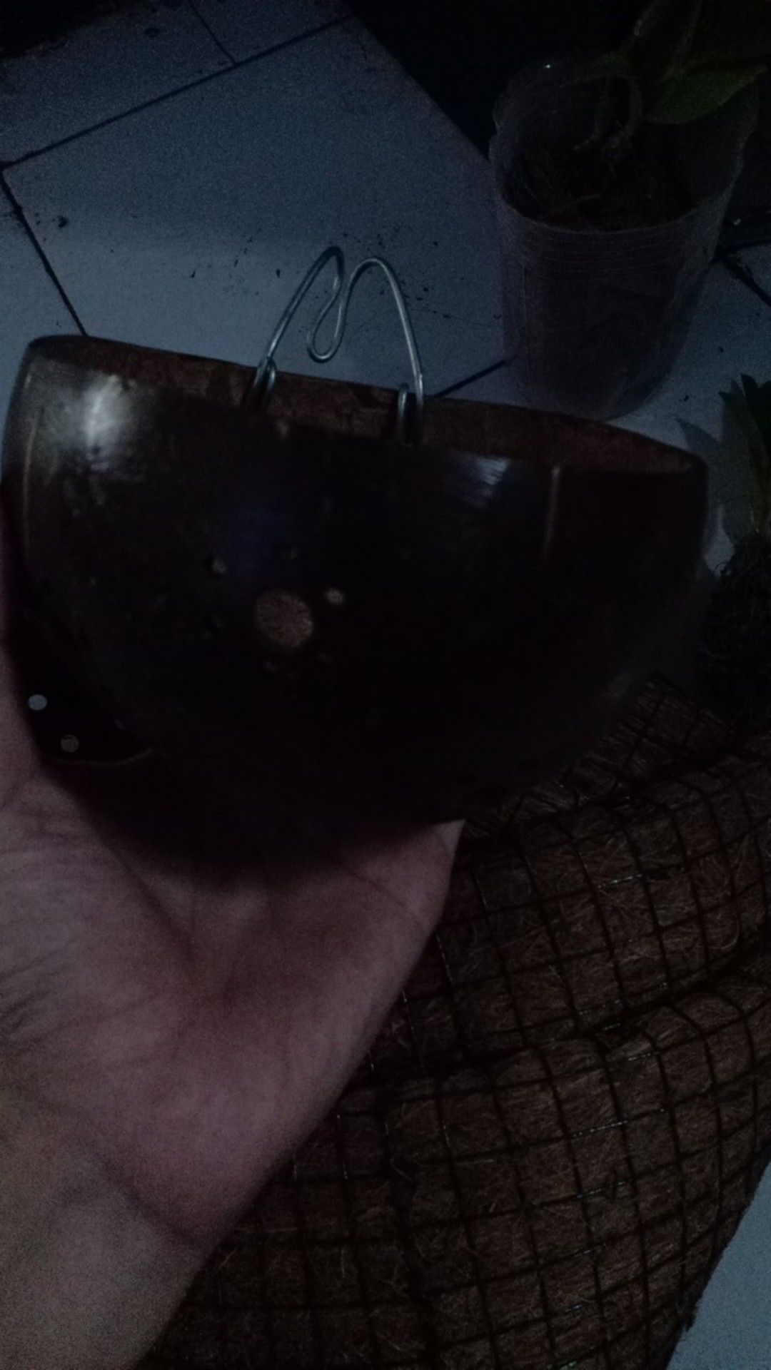 Media Pot Batok Pot Bunga Gantung Hias Anggrek Media