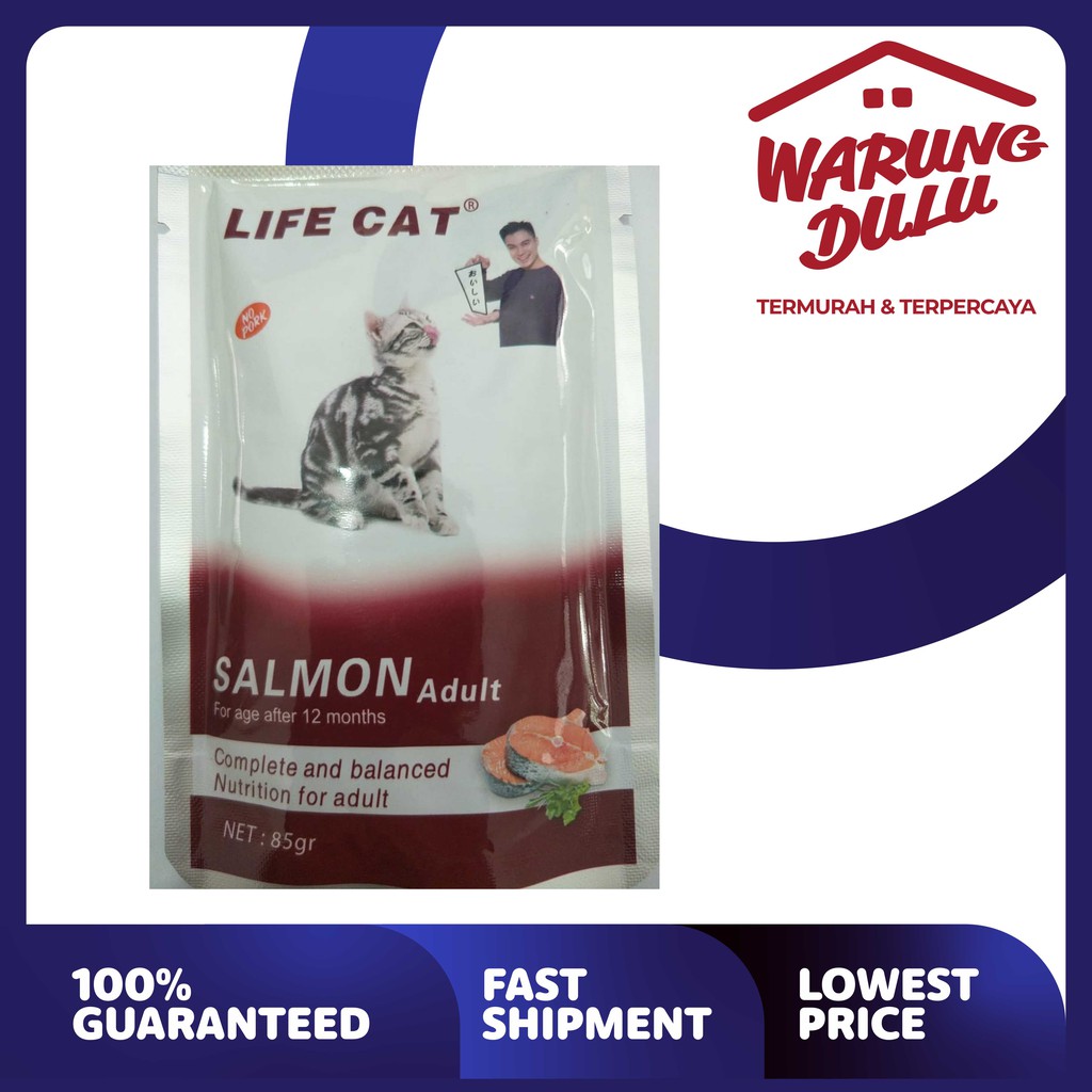 LIFE CAT POUCH ADULT SALMON 85GR