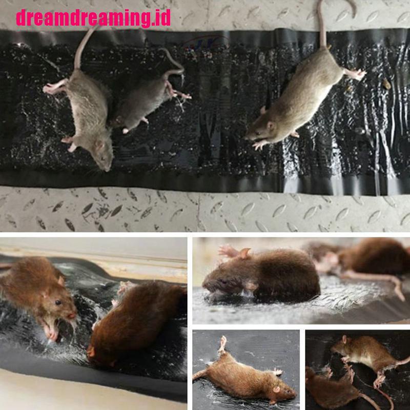 Lem Perekat Mouse Ukuran 60cm