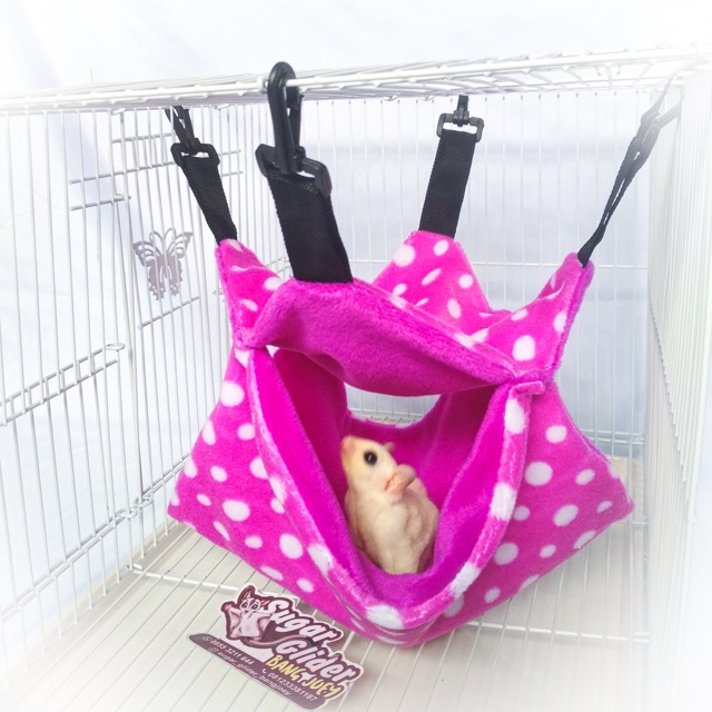 Pouch Hammock Tempat tidur sugar glider , landak mini hamster