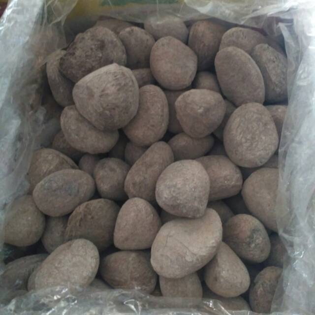 

Kluwak kluwek kualitas oke 250 gram