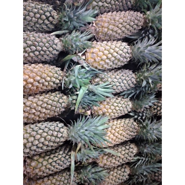 

nanas palembang matang dan mentah fresh manis 1 buah