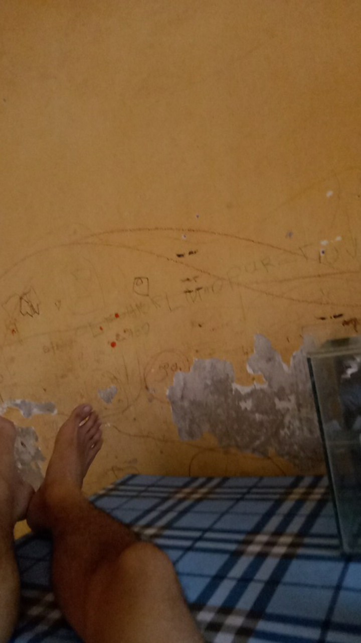 Murah Selang Air Benang Hijau 1/2 Propeller Anti Lumut Per Meter