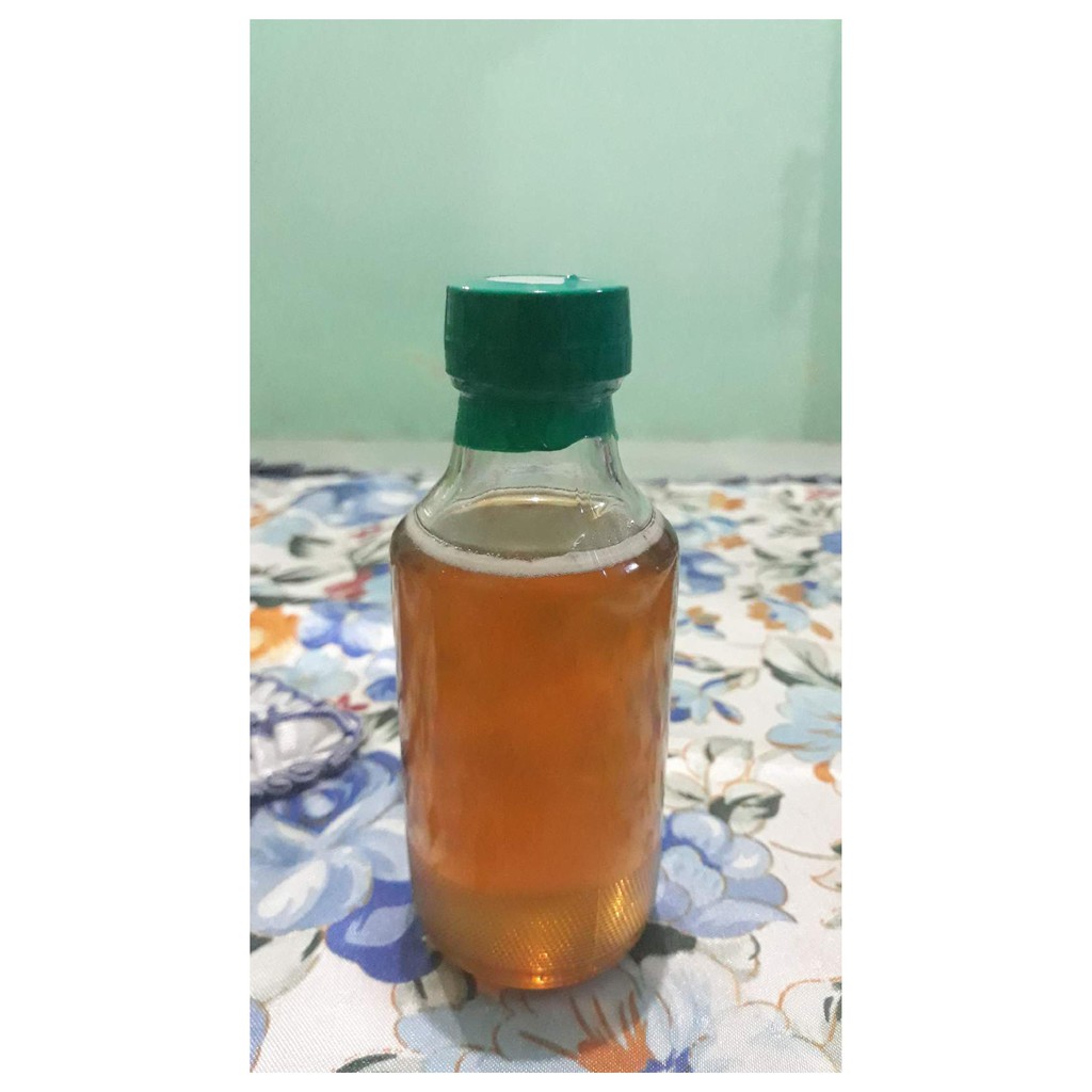 

Madu karet semi mahoni
