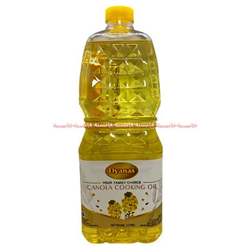 Dyanas Canola Cooking Oil 2L Dyana Minyak Kanola Minyak Goreng 2 Litter Dyana Dianas Dyana's