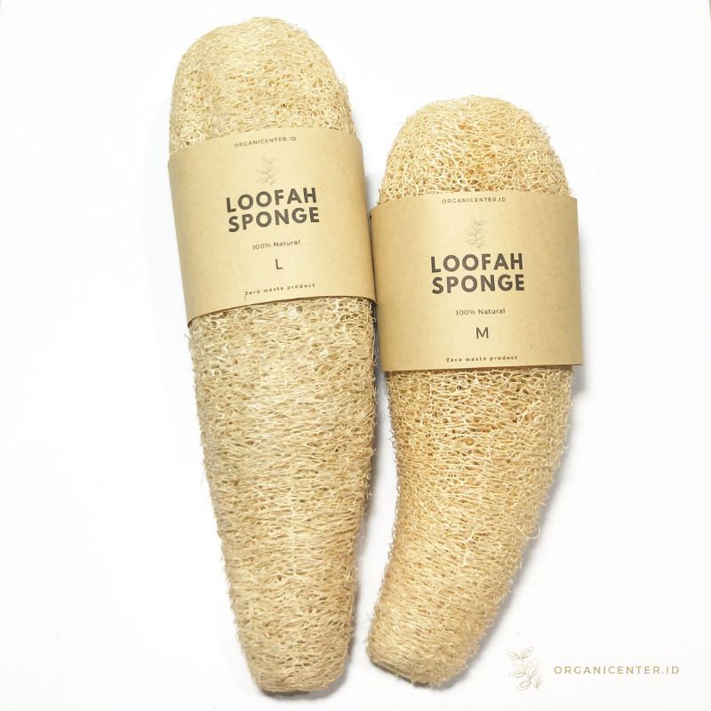 Loofah Sponge L / Spons Gambas Natural Alami / Spons Sabut Cuci Piring / Oyong Kering Zero Waste