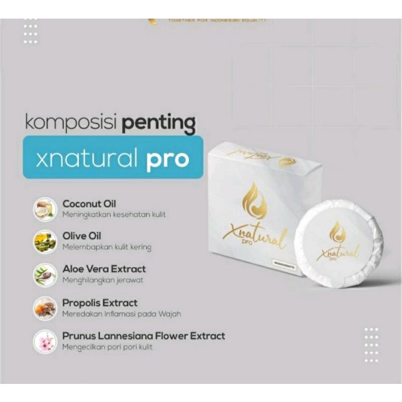 Sabun Kecantikan Wajah X Natural Pro